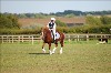 UKPA  NC Sat_1522